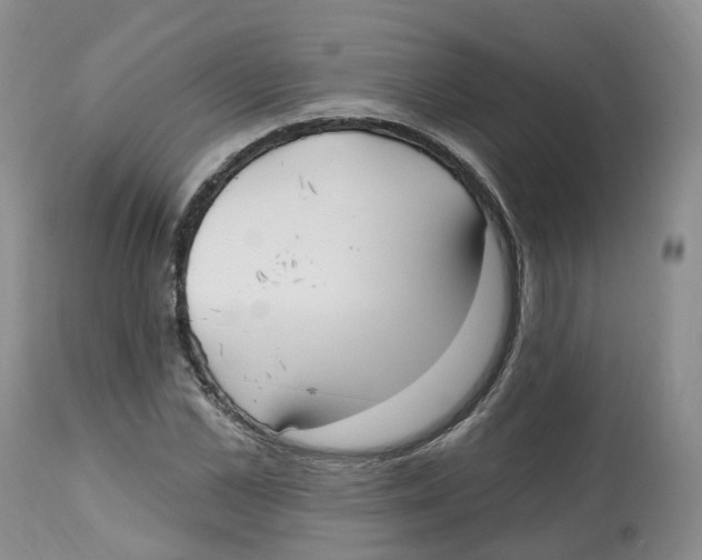 X0000112540973200909141308
