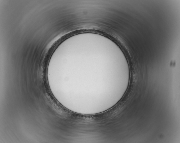 X0000112540975200909141308