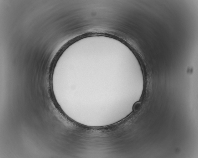 X0000112540976200909141308