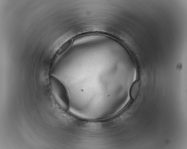 X0000112540977200909141308