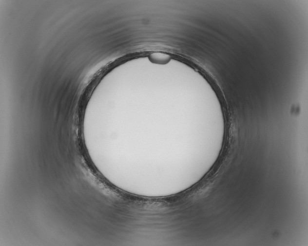 X0000112540979200909141308