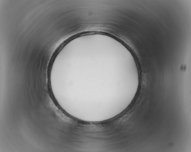 X0000112540980200909141308