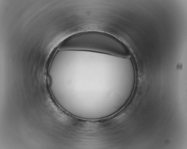 X0000112540981200909141308