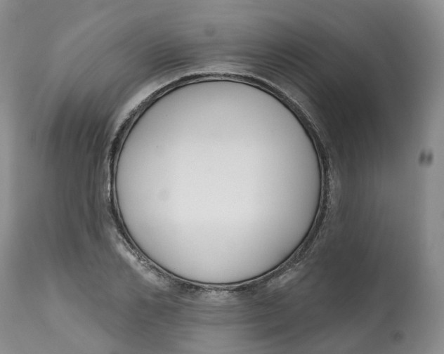 X0000112540982200909141308