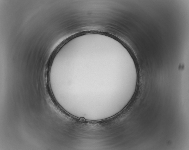 X0000112540983200909141308