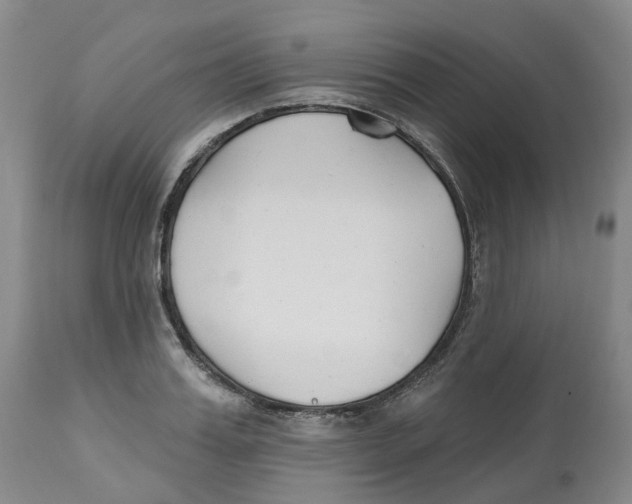 X0000112540987200909141308