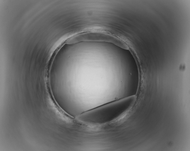 X0000112540989200909141308