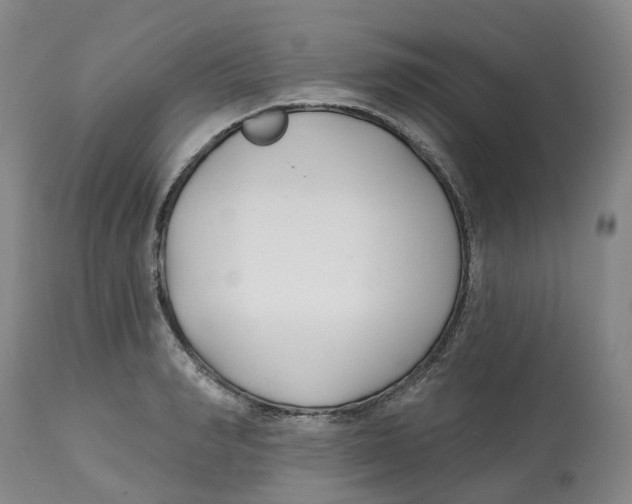 X0000112540990200909141308