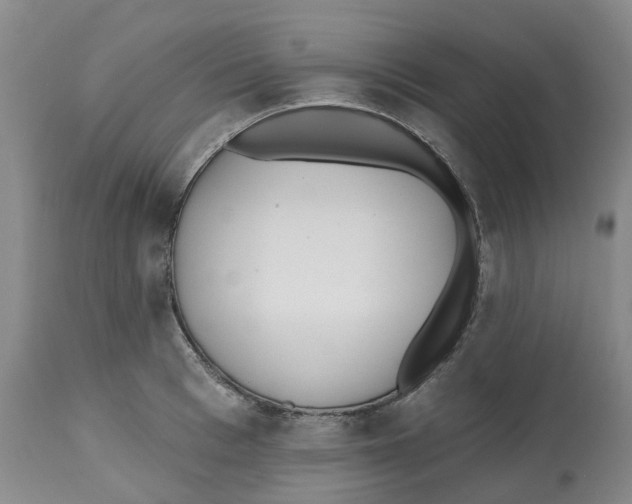 X0000112540993200909141308