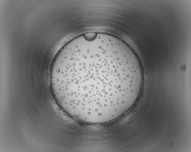 X0000112540994200909141308