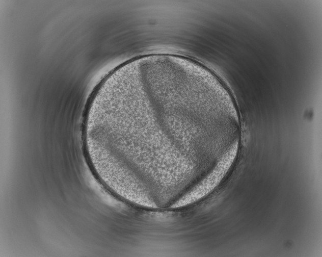 X0000112540995200909141308