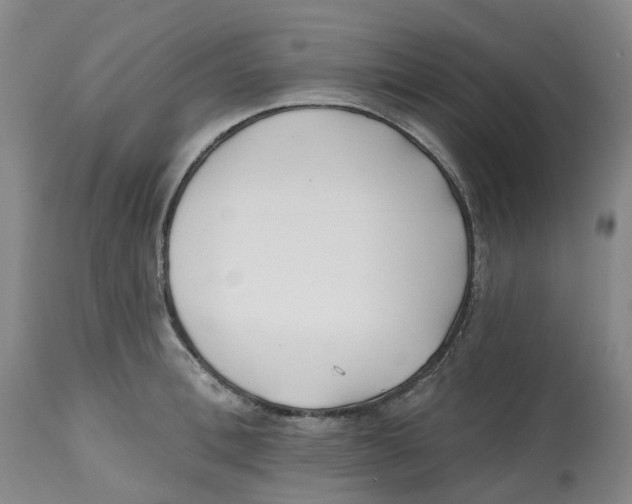 X0000112540996200909141308