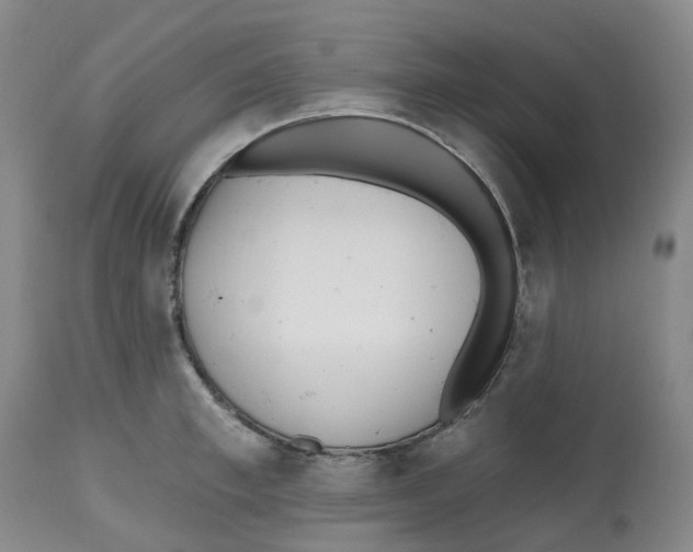 X0000112540997200909141307