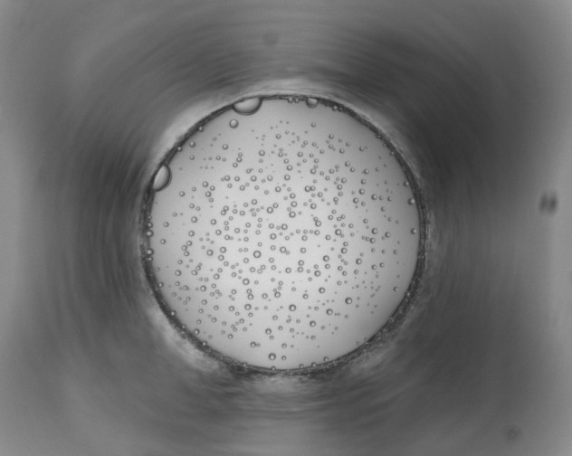 X0000112540998200909141307