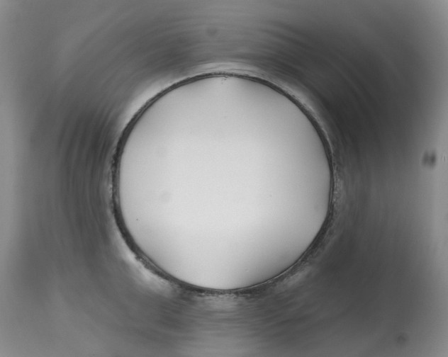 X0000112540999200909141307