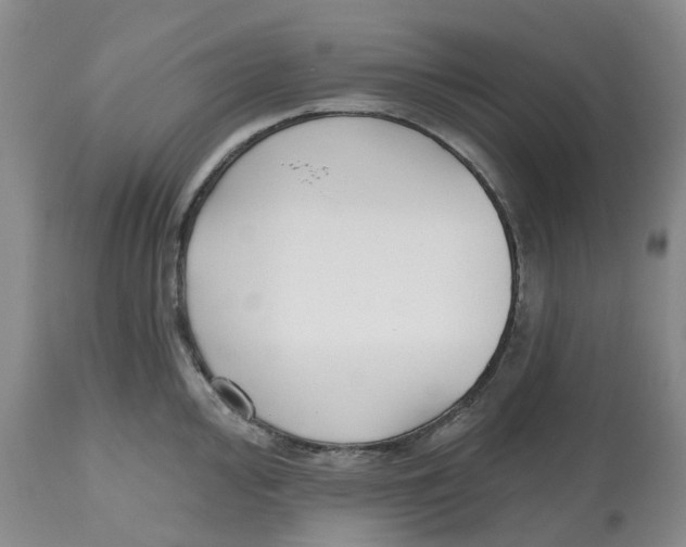 X0000112541000200909141307
