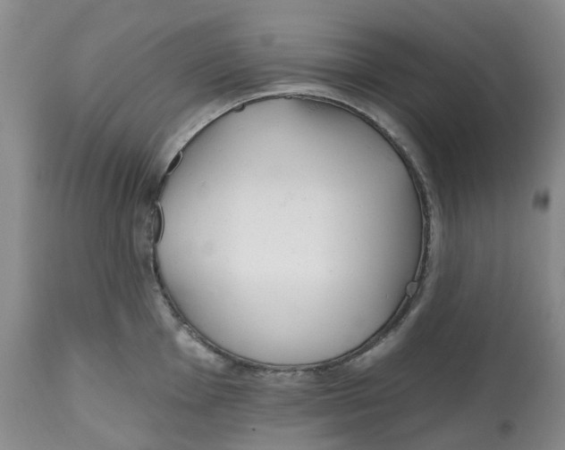 X0000112541001200909141307
