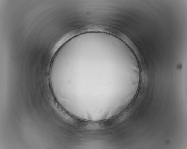 X0000112541002200909141307