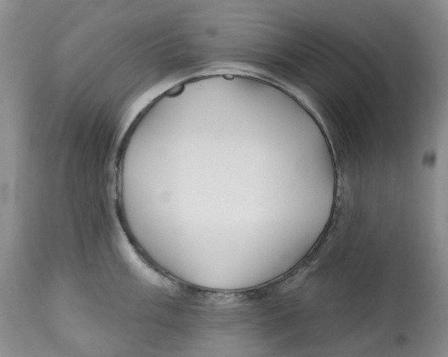 X0000112541003200909141307