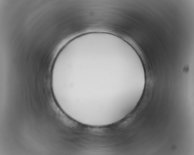 X0000112541004200909141307