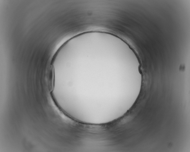 X0000112541007200909141307