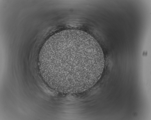 X0000112541009200909141307