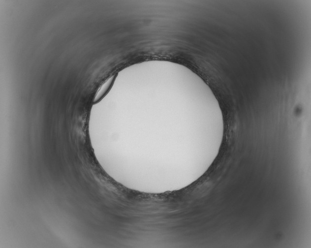 X0000112541010200909141307