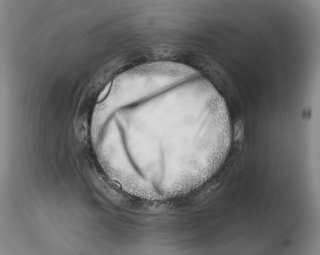 X0000112541011200909141307