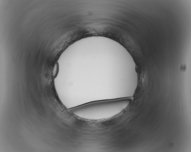 X0000112541012200909141307
