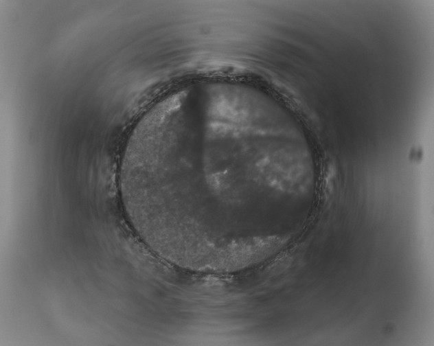 X0000112541013200909141307