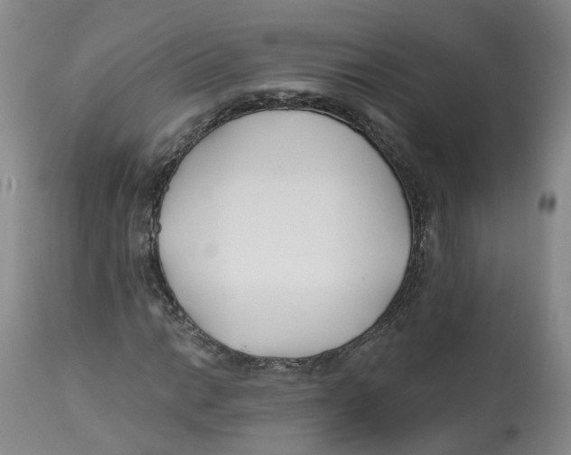 X0000112541014200909141307