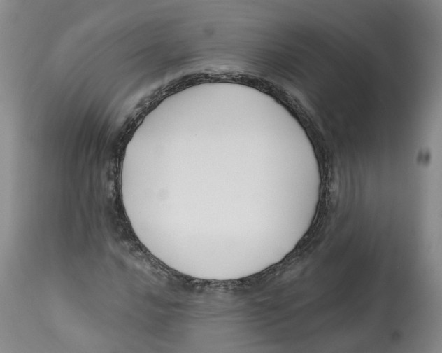X0000112541016200909141307