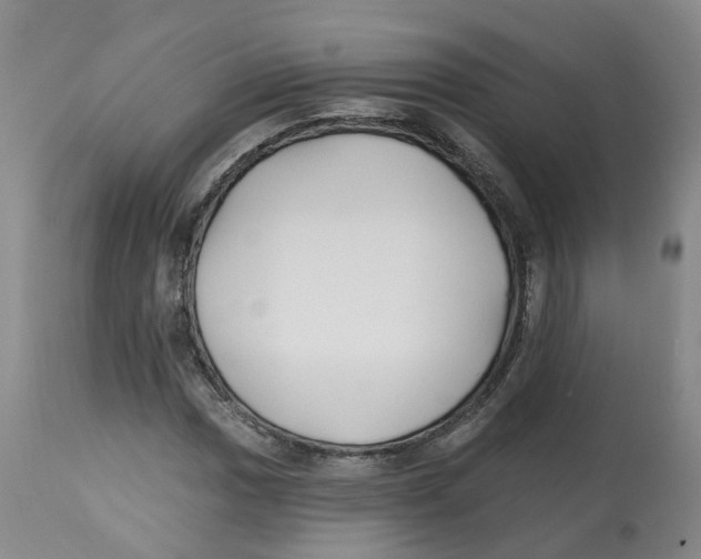 X0000112541017200909141307
