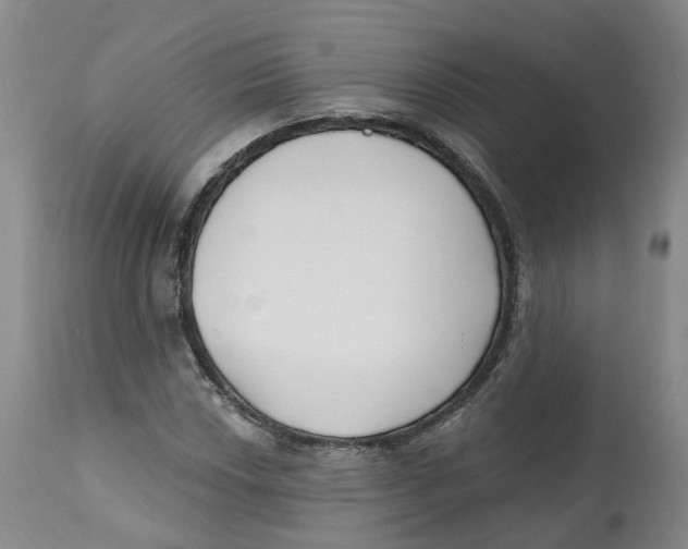 X0000112541018200909141307