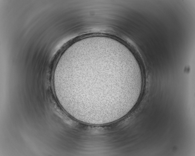 X0000112541019200909141307