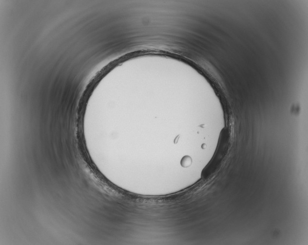 X0000112541020200909141307
