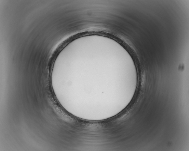 X0000112541021200909141307