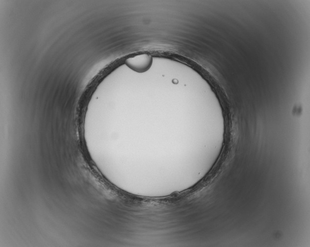X0000112541022200909141307