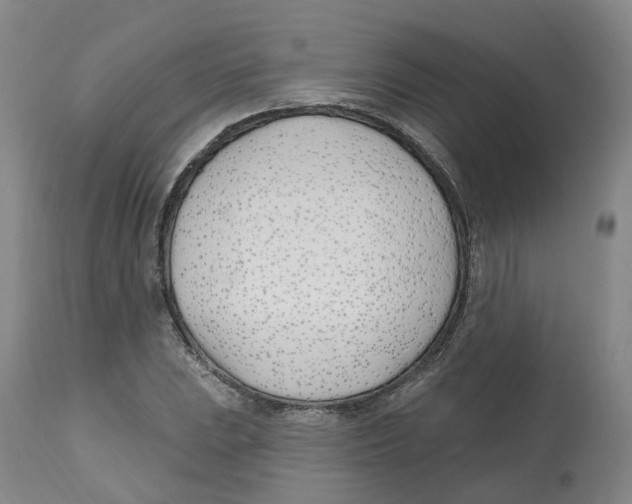 X0000112541023200909141307