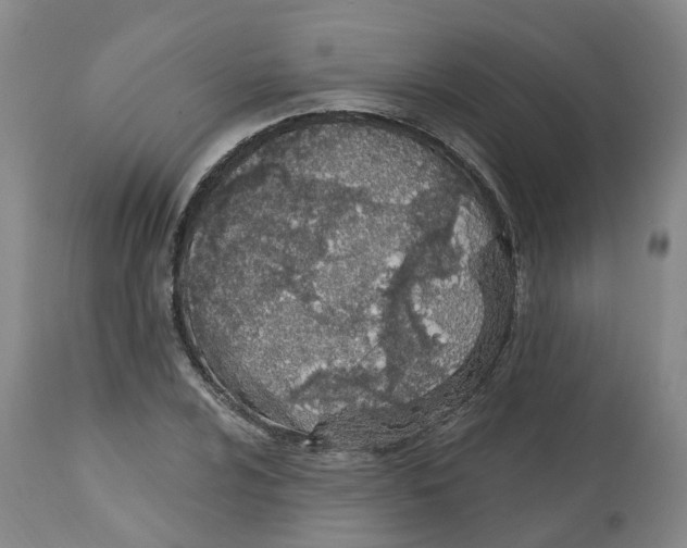 X0000112541024200909141307