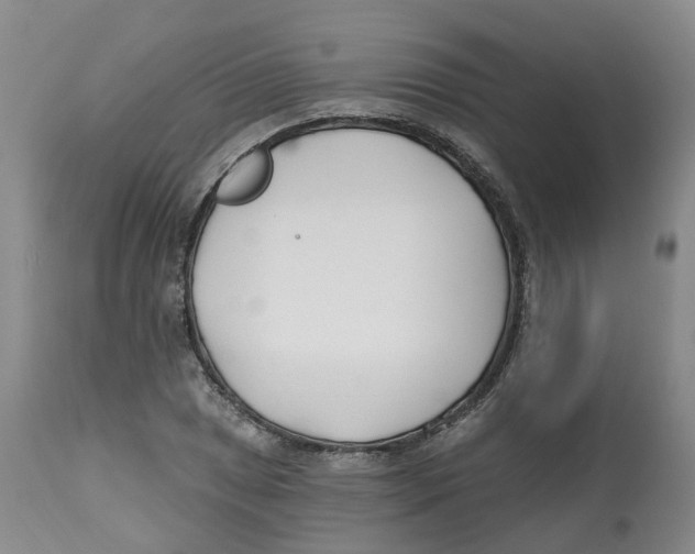 X0000112541025200909141307