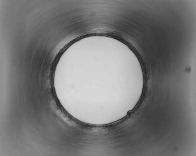 X0000112541026200909141307