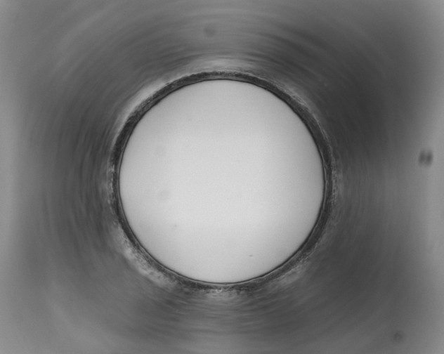 X0000112541029200909141307