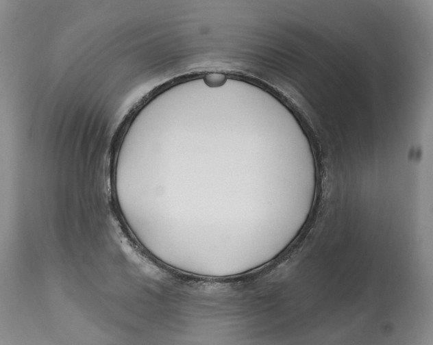 X0000112541030200909141307