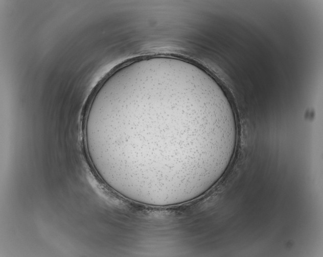 X0000112541031200909141307