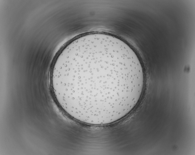 X0000112541032200909141307