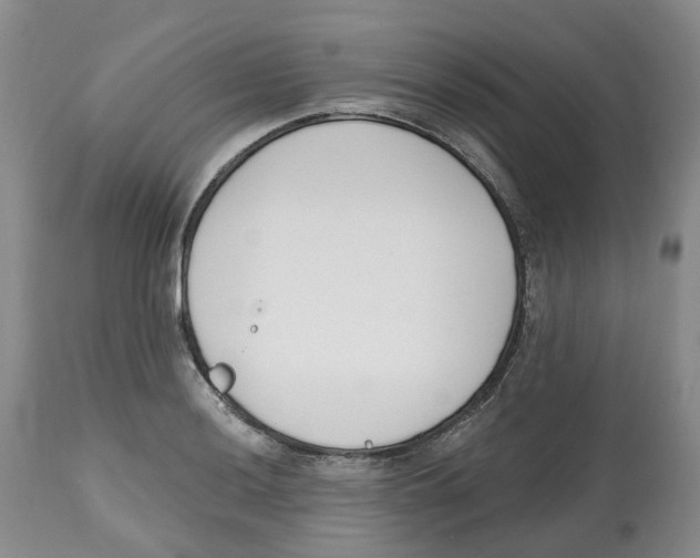 X0000112541036200909141307