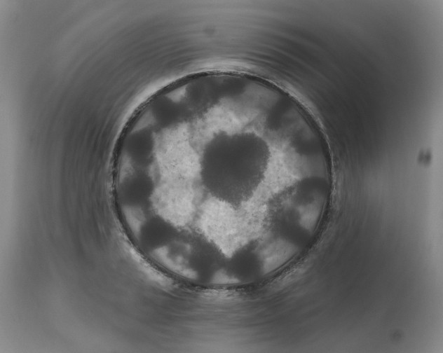 X0000112541037200909141307