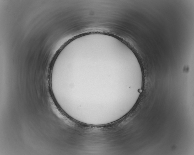 X0000112541038200909141307