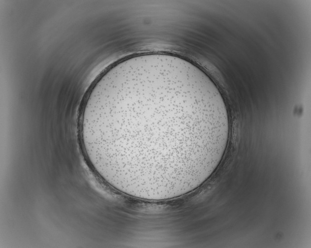 X0000112541039200909141307